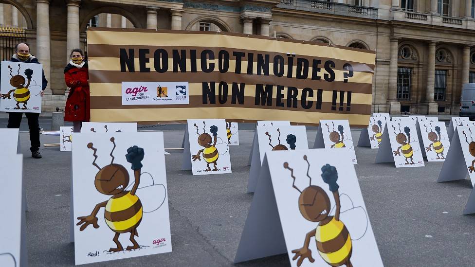 Manifestantes